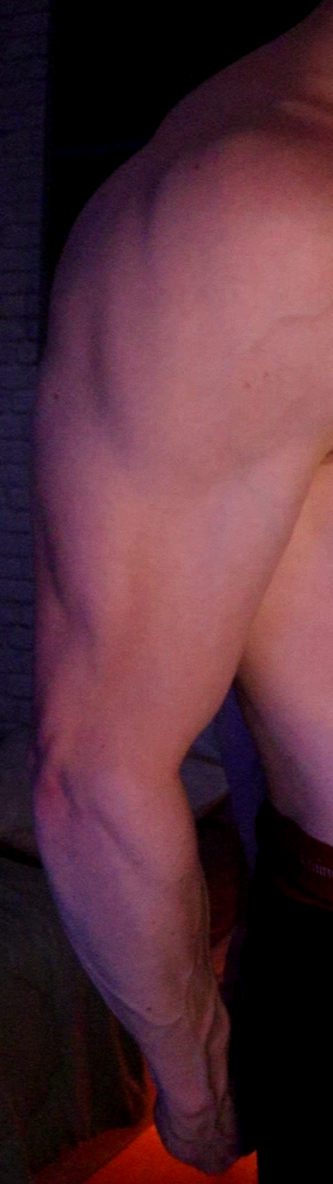triceps et biceps